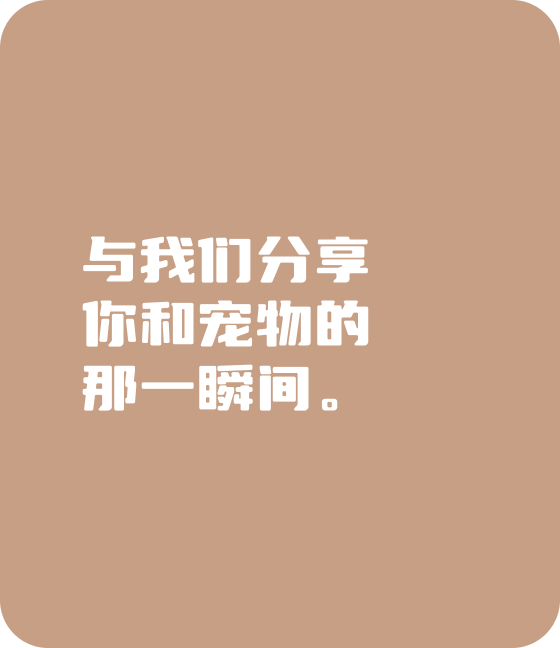 JIUYOU.com宠物，无处不在